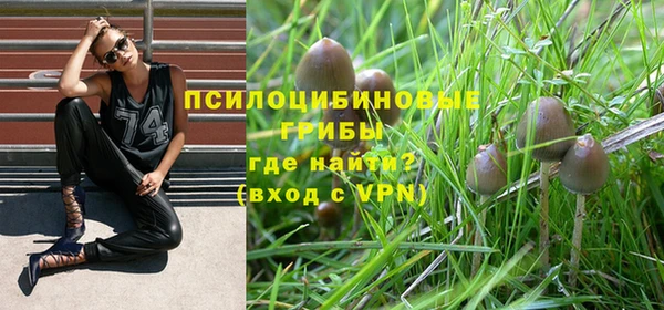 кокаин колумбия Алексин