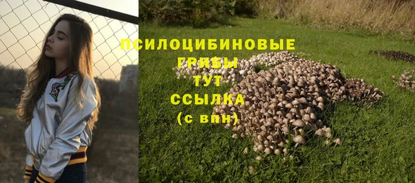 амф Алзамай