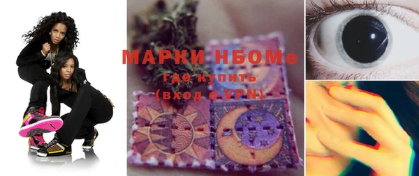 амф Алзамай