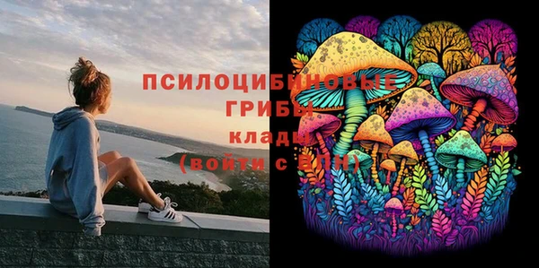 кокаин колумбия Алексин